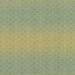 Yarn dyed Fabric [DY1406-1]